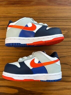 Nike Dunk Toddler